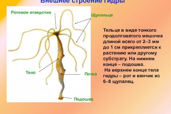 Адрес сайта даркнет