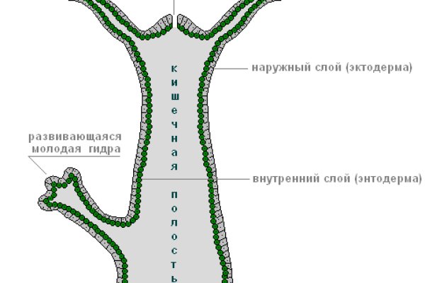 Сайт кракен зайти